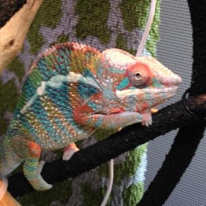 lunch time colors - just turned 6 month old