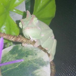 I'm trying to sleep here!