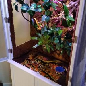 Custom DIY Enclosure I made