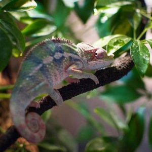 Starting to show more color!