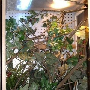 Their Cage