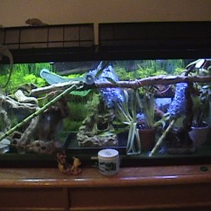 DSC00450