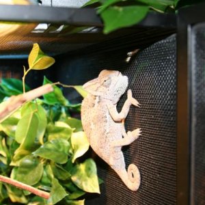 IMG_2028Small
