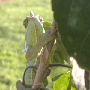 Catchin some Rays