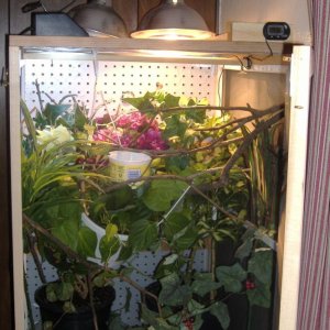 DSCF0387