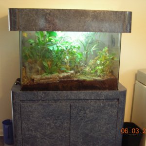 Brev tank