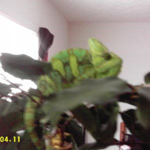IMAG0075