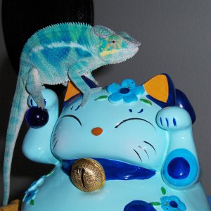 i can be just as blue as you! :P