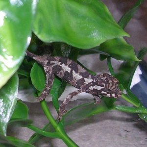 One of my babies
