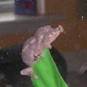 Trying to learn how to eat