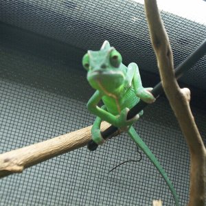 Picture002