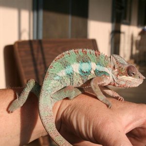 enjoying the sun
