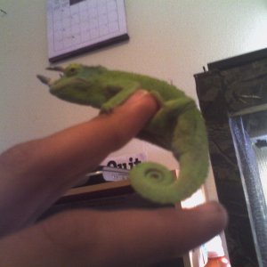 Soo small....