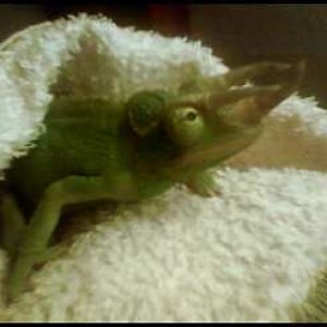 getting out of the shower!