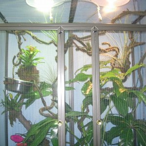 Cage 2a