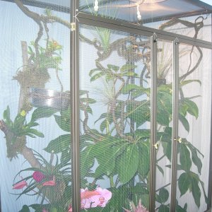 Cage2b