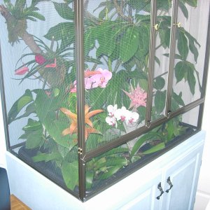 Cage3b