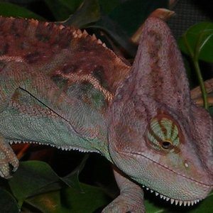 Dscn0159