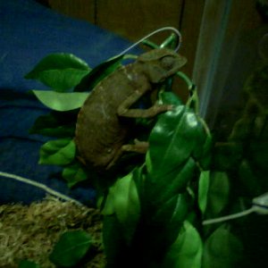 Winky R.I.P.
