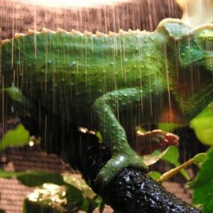 Borat loving his warm rain/spritzer