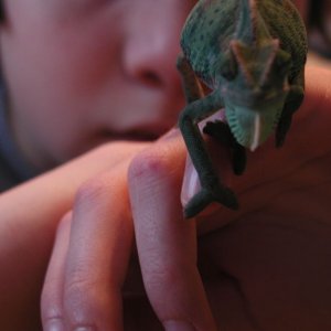 Demon Cham