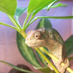 Hanging out