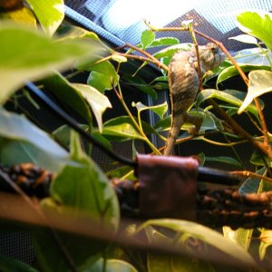 DSCN1485