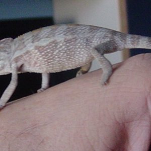 Spike 3 Months