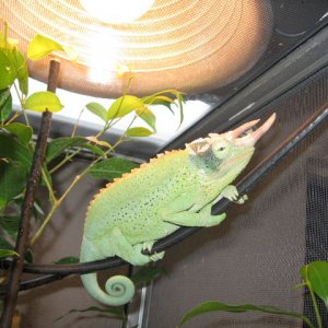 IMG_4910