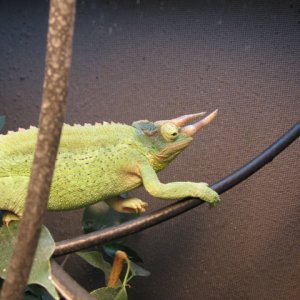 IMG_5251