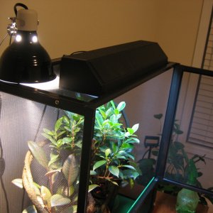 Lighting