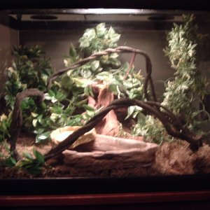 DSCF1312