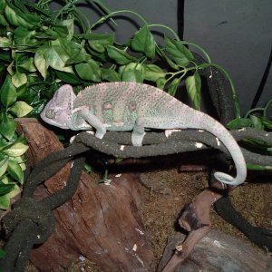 DSCF1331