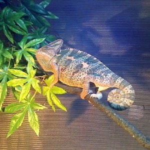 Cami just Chillin'
