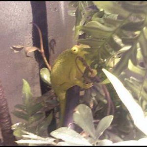 Peekaboo!