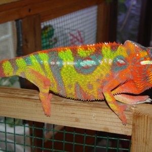 DSC00069