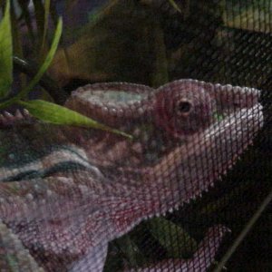 MVC-014S_590883