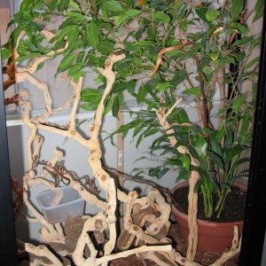 Inside of Lady B's House.