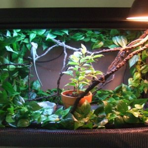 Vigo's 1st home