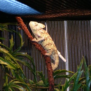 DSCF0043