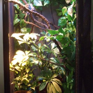 A vertical switch for 1st home