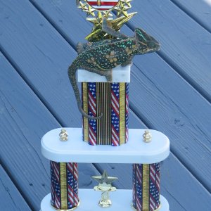 First place pet show..