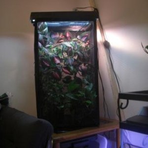 My Setup