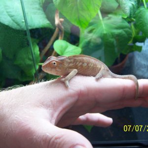 Cleo inside