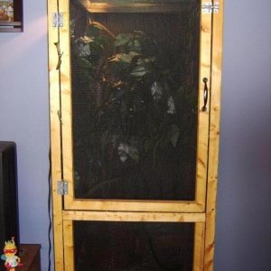 Dizzle's homemade cage