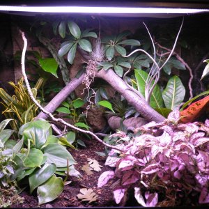 Brev enclosure