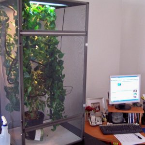 My Setup