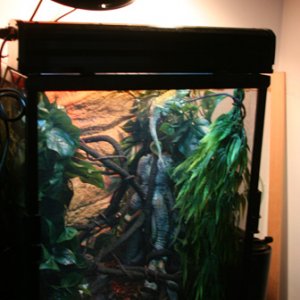 Eko's cage set up