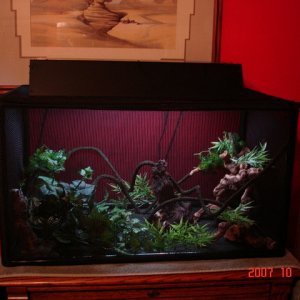 Cortana's new home