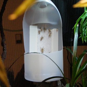 DSCF0023